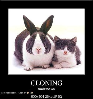 Click image for larger version

Name:	cloning-results-may-vary.jpg
Views:	57
Size:	25.8 KB
ID:	4045