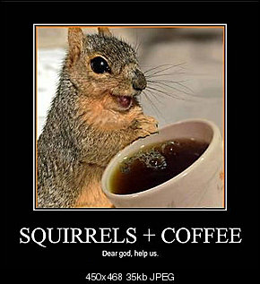 Click image for larger version

Name:	squirrels-coffee.jpg
Views:	31
Size:	35.0 KB
ID:	4053